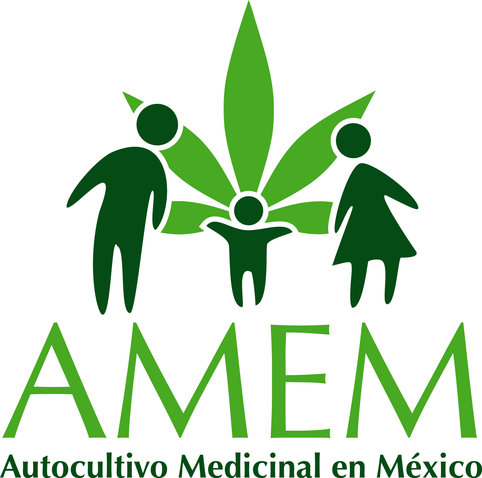 AMEM en webinar del Observatorio Latinoamericano de Cannabis